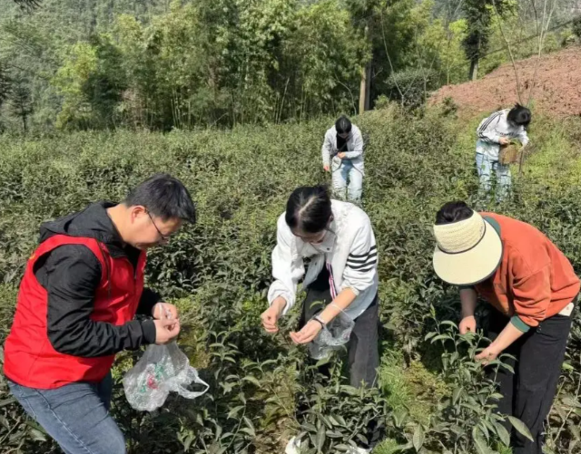 劳动教育依然是大学生成长路上不可或缺的养分